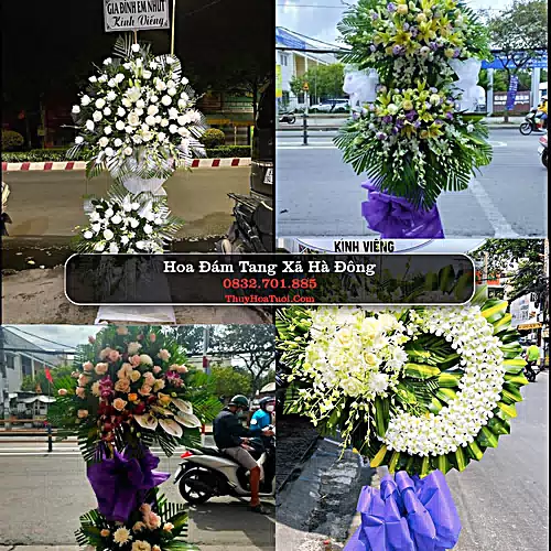 Hoa Tang Lễ Xã Hà Đông Hải Phòng